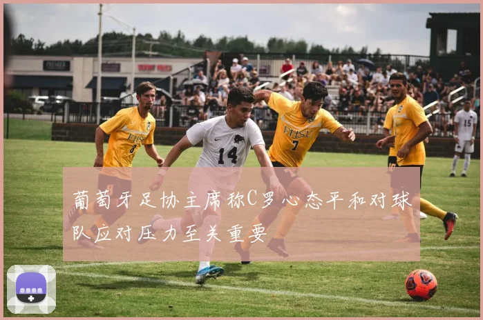 葡萄牙足协主席称C罗心态平和对球队应对压力至关重要