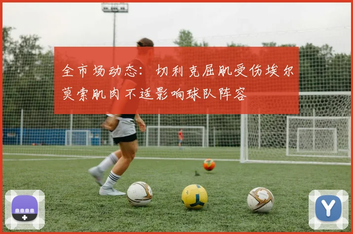 全市场动态：切利克屈肌受伤埃尔莫索肌肉不适影响球队阵容